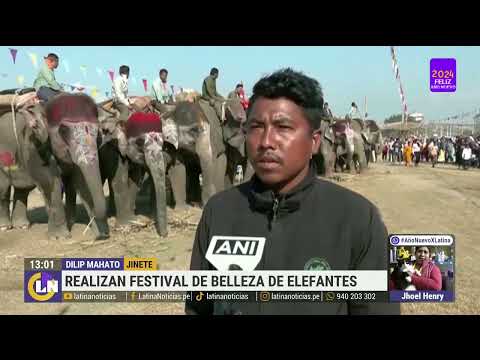 Nepal: organizan festival de belleza de elefantes