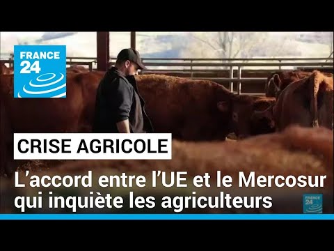 Colère des agriculteurs : que dit le traité entre l’UE et le Mercosur ? • FRANCE 24