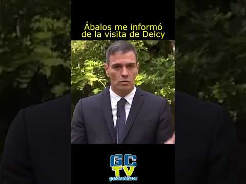 Ábalos me informó de la visita de Delcy Pedro Sánchez #pp #psoe #vox #sumar #podemos