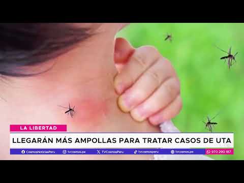 Aníbal Morillo: Afirma que han reducido los casos de dengue en ocho provincias