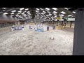 Show jumping horse Kamille van de Eenhoorn = verkocht!