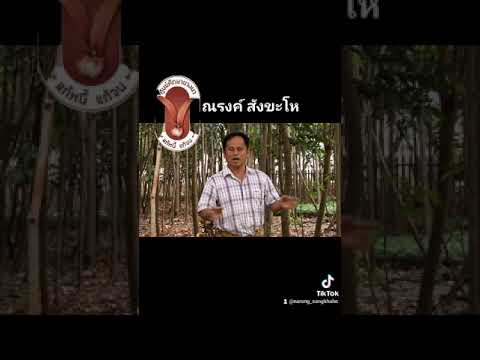 ณรงค์-สังขะโห ณรงค์-สังขะโห