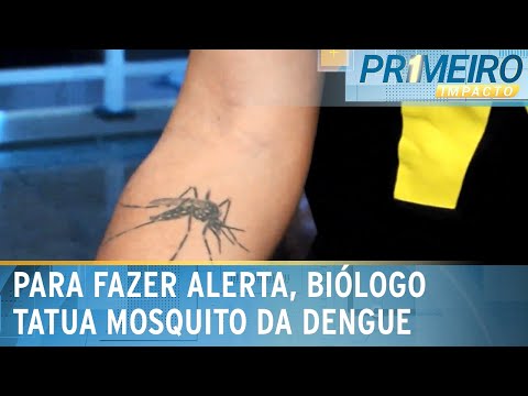 Como alerta, biólogo que combate dengue tatua mosquito aedes aegypti | Primeiro Impacto (02/04/24)