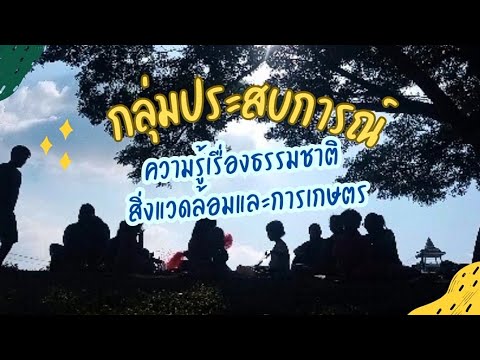 กลุ่มประสบการณ์:ความรู้เรื่อ