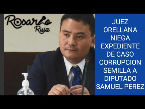 Juez Fredy Orellana niega acceso a expediente del caso “Corrupción Semilla” al diputado Samuel Pérez
