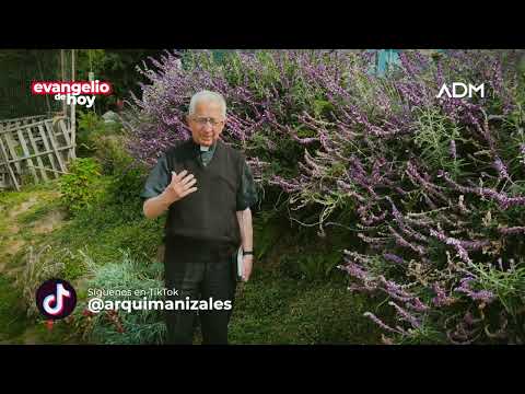 Evangelio de hoy Sábado 28 de Septiembre Padre Efraín. Arquidiócesis de Manizales LECTIO DIVINA