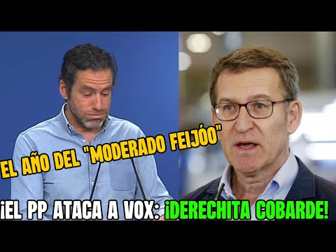 El PERFECTO RESUMEN del AÑO de FEIJÓO en el PP | SEMPER LLAMA a VOX DERECHITA COBARDE!