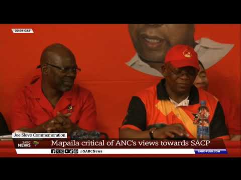 Mapaila critical of ANC's views towards SACP