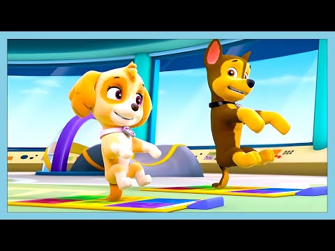 Pup Pup Boogie! 🎶 🐶 | Paw Patrol | WildBrain Kids