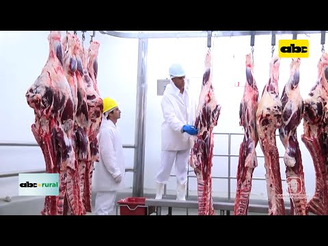 Brasil entra fuerte con su carne bovina a Chile