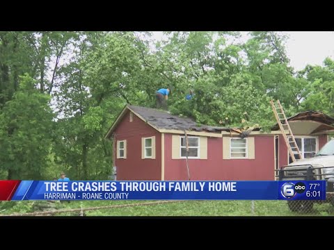 Harriman family hopes to preserve family heirlooms after tree crashed through home