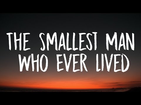 Taylor Swift - The Smallest Man Who Ever Lived (Lyrics)