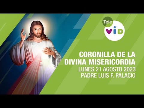 Coronilla de la Divina Misericordia  Lunes 21 de Agosto 2023, Padre Luis F. Palacio - Tele VID