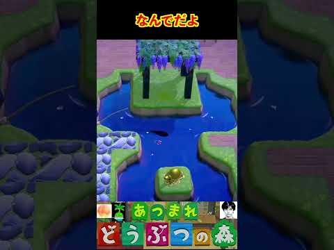 なんでだよ #あつまれどうぶつの森 #shorts #あつ森