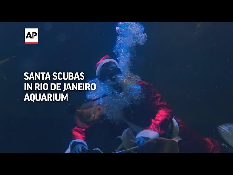 Santa scubas in Rio De Janeiro Aquarium