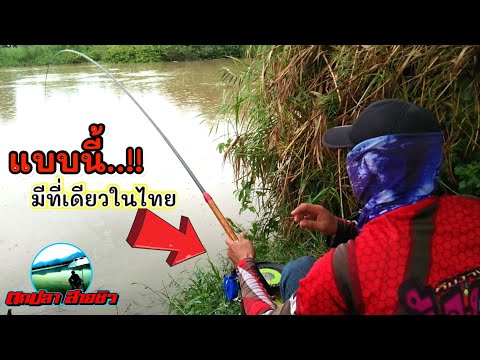 ตกปลาด้วยคันชิงหลิว4ระยะ-กับ-เ ตกปลาด้วยคันชิงหลิว4ระยะ-กับ-เ