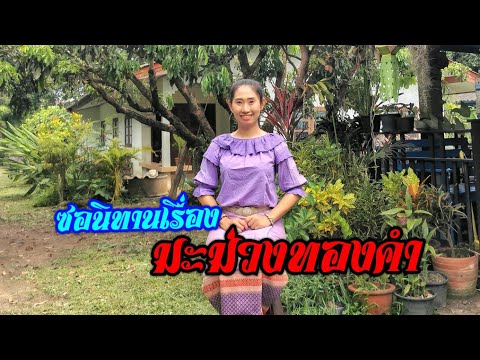 ซอนิทานเรื่องมะม่วงทองคำ---พรร ซอนิทานเรื่องมะม่วงทองคำ---พรร
