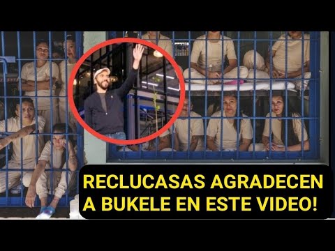 VIDEO VIRAL! Reclusas en la carcel de Mujeres le agradecen a NAYIB BUKELE! por el nuevo país!