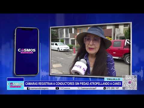 Trujillo: cámaras registran a conductores sin piedad atropellando a canes