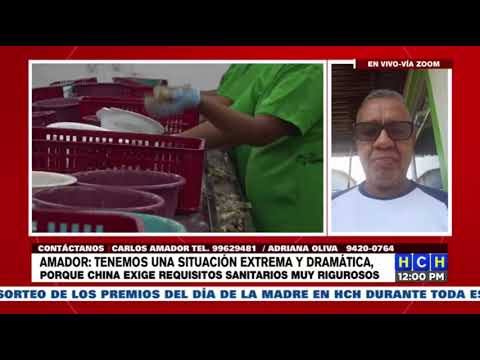 Preocupados por el “mercado chino” productores que exportaban camarón hacia Taiwán