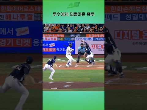 투수에게 되돌아온 폭투