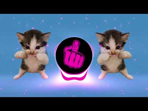 DJ KICAU KICAU  MANIA REMIX SLOW VIRAL TIKTOK FULL SONG 2026 YANG DI CARI CARI