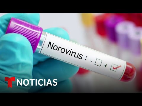 Aumenta la propagación del norovirus, un patógeno altamente contagioso | Noticias Telemundo
