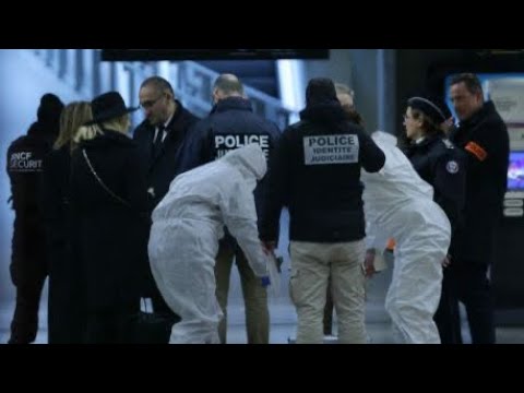 Attaque gare de Lyon : troubles psychiatriques, vidéos anti-français... Ce que l'on sait du profi…