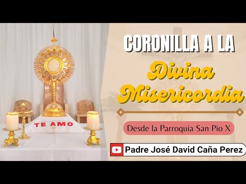 CORONILLA A LA DIVINA MISERICORDIA | MIÉRCOLES 8 DE MAYO 2024