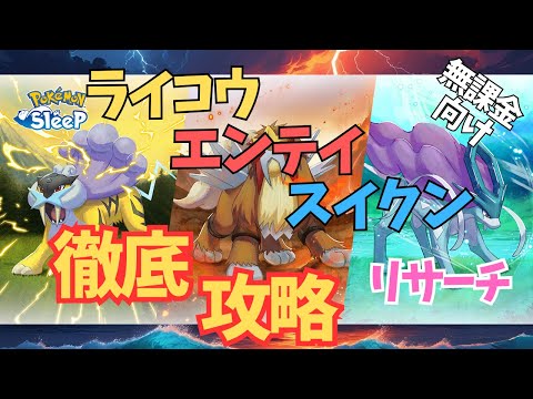 【ポケモンスリープ】 無課金向けライコウ・エンテイ・スイクンリサーチ徹底攻略 ワカクサ本島EXを選ぶチャンス！？