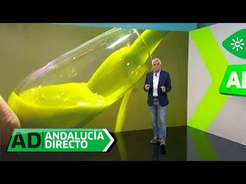 Andalucía Directo | El oro líquido nos llega ya gracias a los olivos de cosecha temprana de Jaén