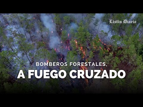 BOMBEROS FORESTALES, A FUEGO CRUZADO ENTRE LA FALTA DE DINERO Y EL CONSTANTE PELIGRO