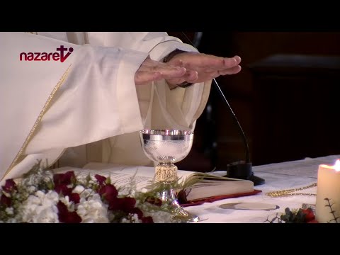 Santa Misa de hoy Domingo 2 de junio de 2024. Corpus Christi. P. David Amado