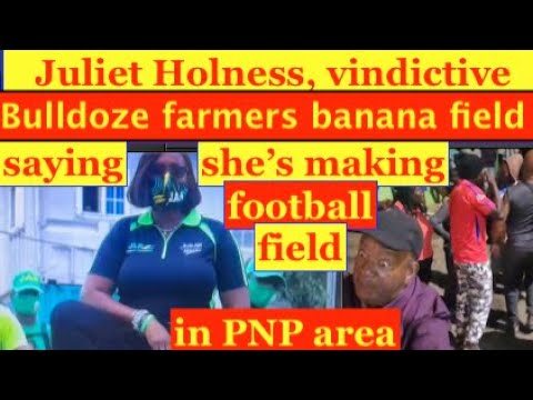 Juliet Holness vindictive, bulldoze farmers Banana field, to build  football field in PNP area