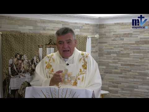 Amor, dedicación y entrega a la confesión | San Pío de Pietrelcina. 23-09-24| P. Santiago Martín FM