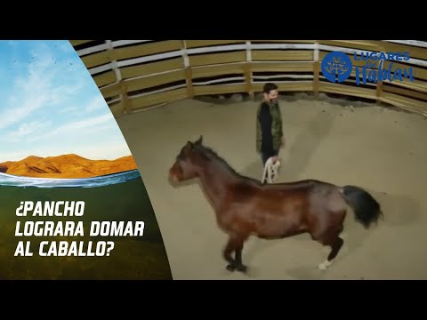 Pancho Saavedra y la domadura de caballos. Lugares que Hablan, Canal 13.