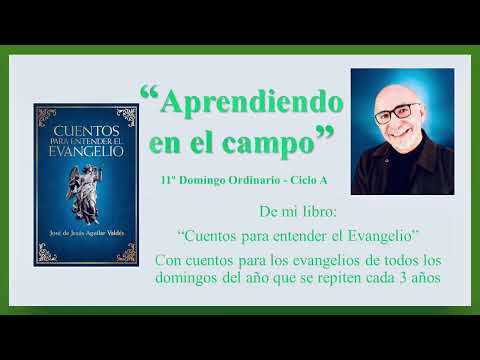 Aprendiendo en el campo - Cuento para el 11o Domingo Ordinario A