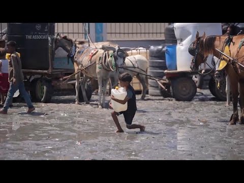 Almost 11 months into the war, Palestinians in Gaza struggle to access food and clean water