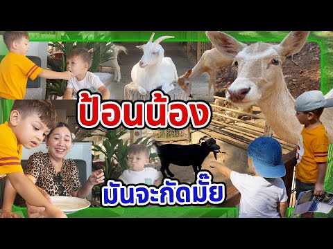 VLOG|ซุปมะเขือม่วงสูตรตุรกี