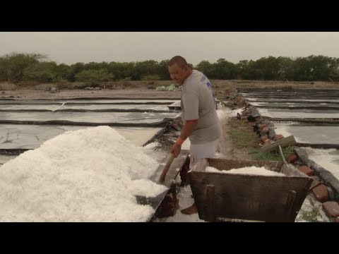 Hechos del Agro - Extracción de sal