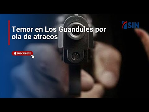 Temor por ola de atracos en Los Guandules