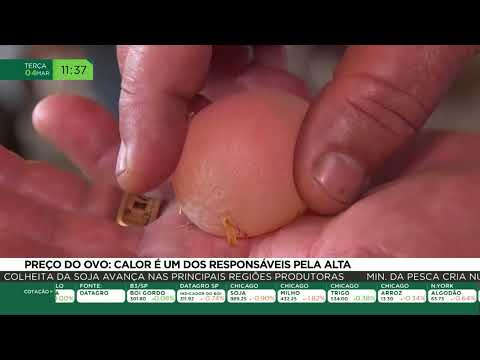 Thumbnail Video Youtube