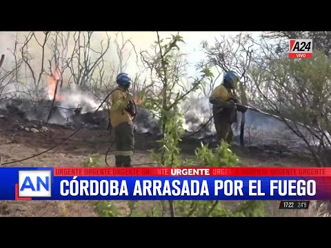 CÓRDOBA ARRASADA POR EL FUEGO: Viviendas quemadas en Punilla y 32 evacuados