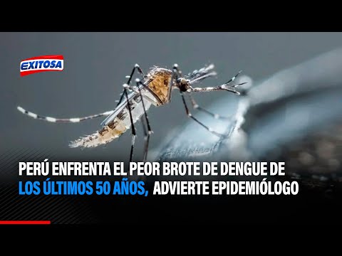 Perú enfrenta el peor brote de dengue de los últimos 50 años, advierte epidemiólogo