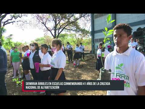 Conmemoran 41 años de la Alfabetización en Nicaragua sembrando árboles