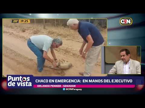 Chaco en emergencia: Proyecto en manos del Ejecutivo