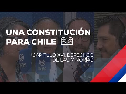 Capítulo XVI: Derechos de las Minorías | Una Constitución para Chile