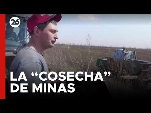 En medio de la guerra, en Ucrania “cosechan” minas con un sorprendente invento | #26Global