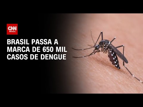 Brasil passa a marca de 650 mil casos de dengue | CNN PRIME TIME