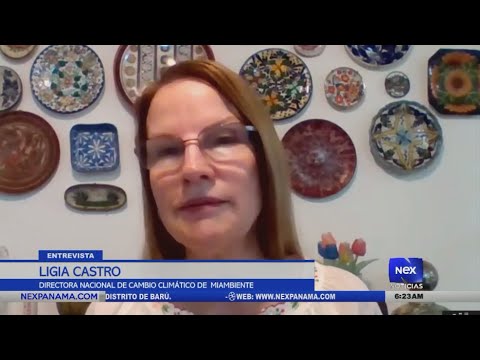 Entrevista a Ligia Castro Dir  de Cambio Clima?tico